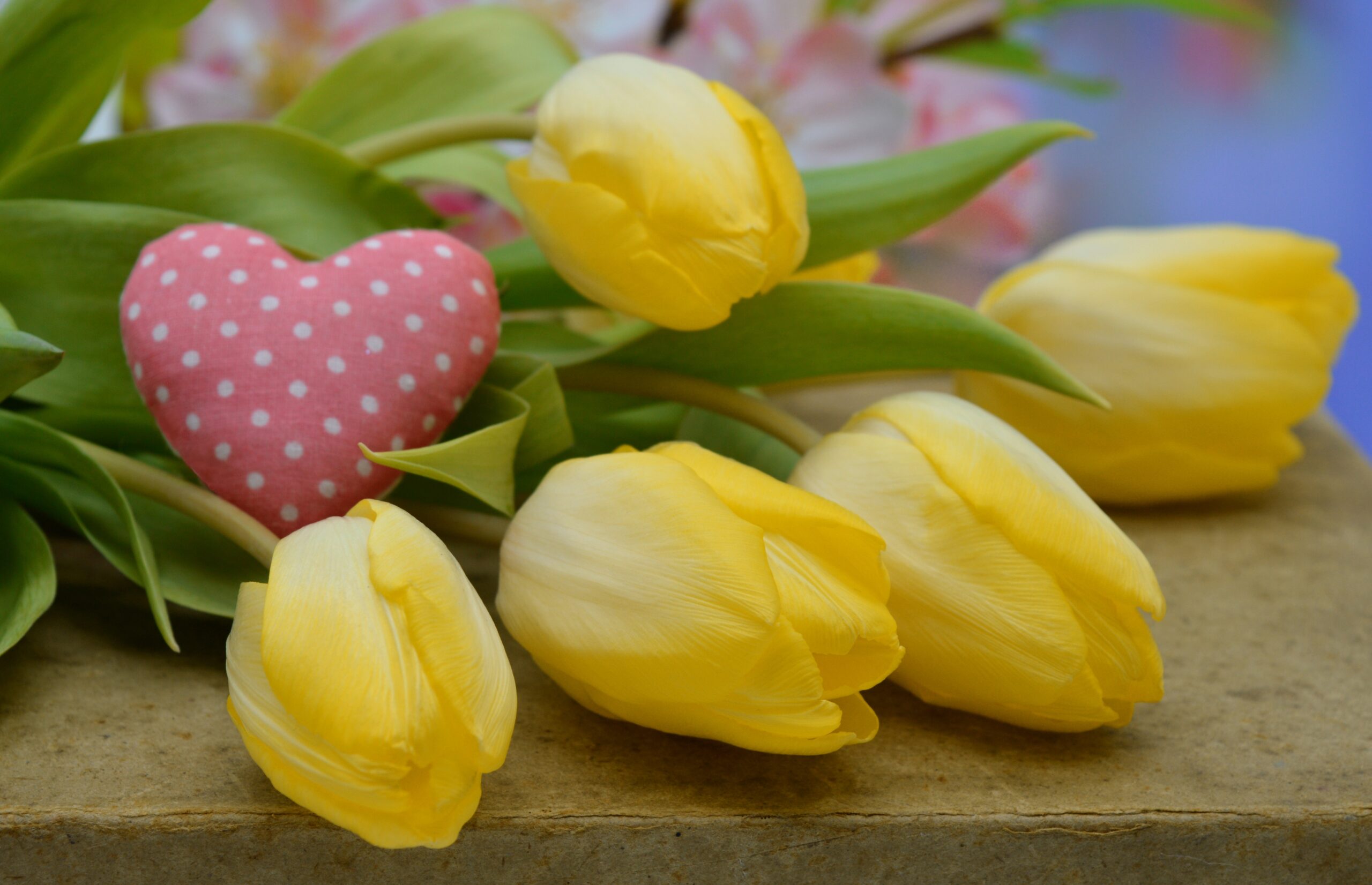image of yellow tulips and pink heart with white dots